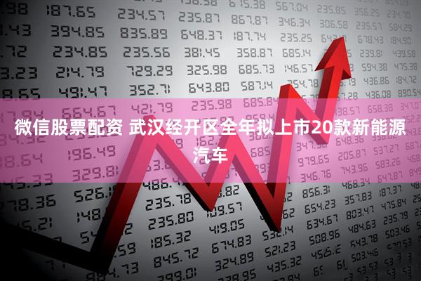 微信股票配资 武汉经开区全年拟上市20款新能源汽车